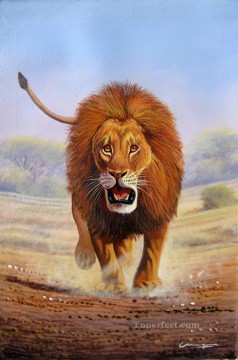 Mugwe Advancing Lion from Africa Oil Paintings